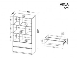 ar41